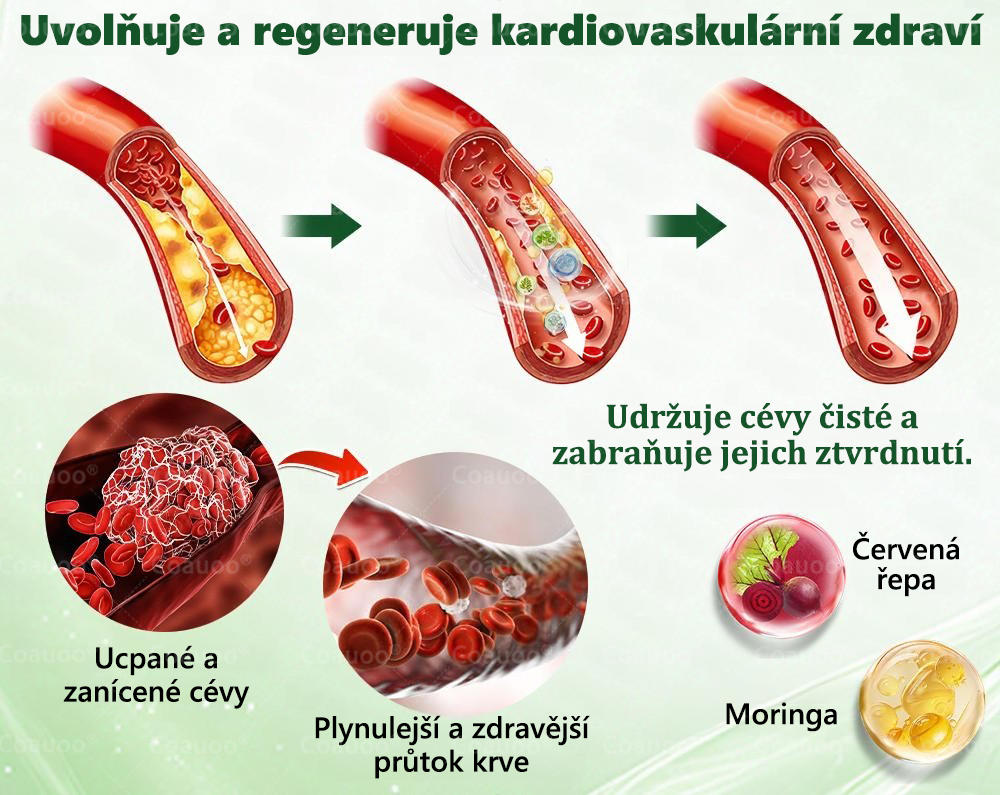 Oficiální prodejna BENU |  🧑‍⚕️𝐂𝐨𝐚𝐮𝐨𝐨® 𝐌𝐨𝐫𝐢𝐧𝐠𝐚 × 𝐁𝐞𝐫𝐛𝐞𝐫𝐲𝐧𝐚 × 𝐀𝐌𝐏𝐊 𝟏𝟎 v 1 – Zeštíhlující nano mikrojihlový náplast 🇨🇿 Jen 1× denně ✅ Viditelné změny za 7 dní – na obezitu, kardiovaskulární zdraví, diabetes a kloubní problémy